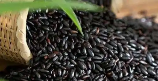 Immunomodulatory Properties of Black Rice Extract: Scientific Perspectives